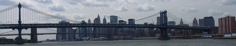 NYC Bridge by Luca Martignon